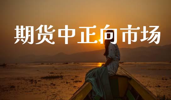 期货中正向市场_https://m.jnlaobingbanjia.com_全球市场_第1张