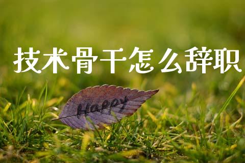 技术骨干怎么辞职_https://m.jnlaobingbanjia.com_金融监管_第1张