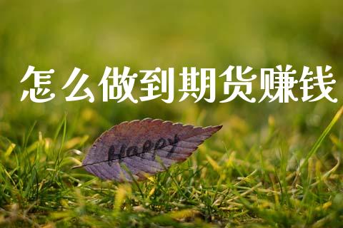 怎么做到期货赚钱_https://m.jnlaobingbanjia.com_金融监管_第1张