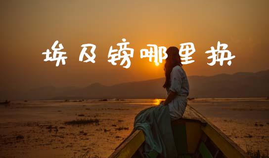 埃及镑哪里换_https://m.jnlaobingbanjia.com_全球市场_第1张