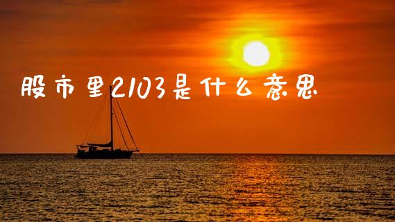 股市里2103是什么意思_https://m.jnlaobingbanjia.com_股市新闻_第1张