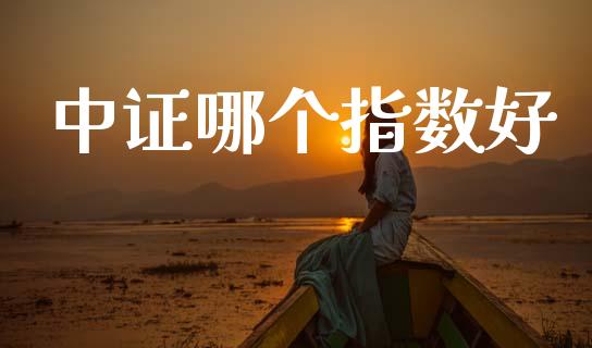 中证哪个指数好_https://m.jnlaobingbanjia.com_基金市场_第1张