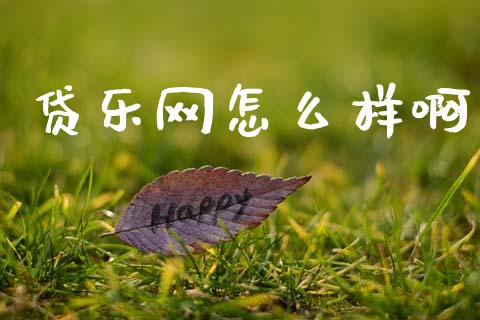 贷乐网怎么样啊_https://m.jnlaobingbanjia.com_理财规划_第1张