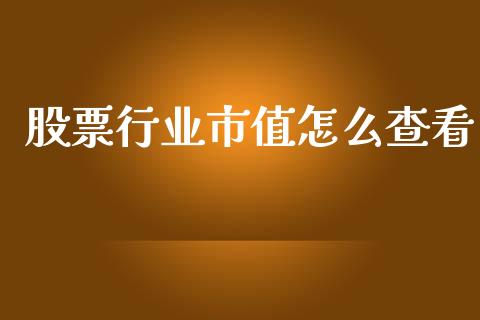 股票行业市值怎么查看_https://m.jnlaobingbanjia.com_金融监管_第1张