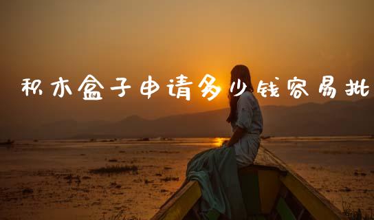 积木盒子申请多少钱容易批_https://m.jnlaobingbanjia.com_金融监管_第1张