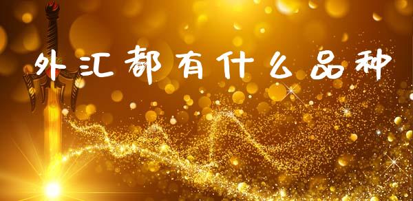 外汇都有什么品种_https://m.jnlaobingbanjia.com_股市新闻_第1张