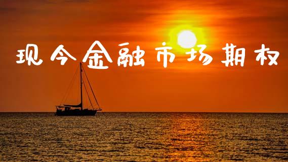 现今金融市场期权_https://m.jnlaobingbanjia.com_金融监管_第1张