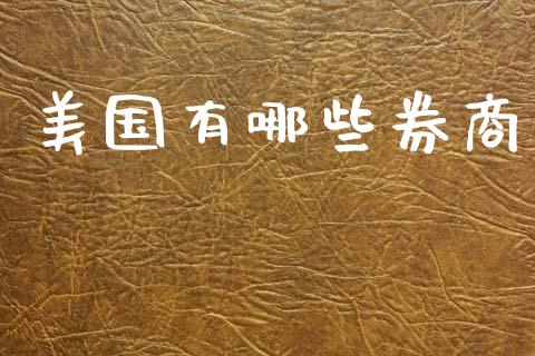 美国有哪些券商_https://m.jnlaobingbanjia.com_金融监管_第1张