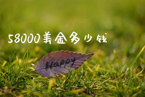 58000美金多少钱_https://m.jnlaobingbanjia.com_理财规划_第1张