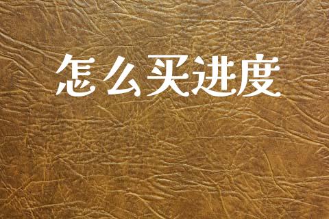 怎么买进度_https://m.jnlaobingbanjia.com_金融监管_第1张