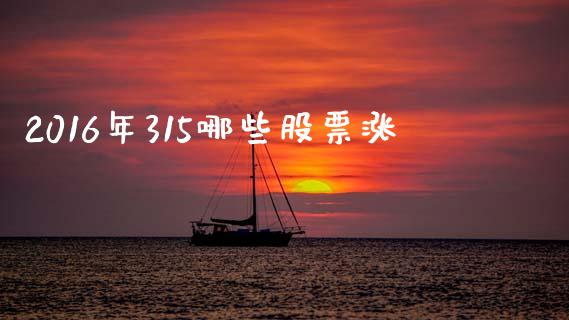 2016年315哪些股票涨_https://m.jnlaobingbanjia.com_理财规划_第1张