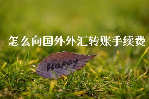 怎么向国外外汇转账手续费_https://m.jnlaobingbanjia.com_金融监管_第1张