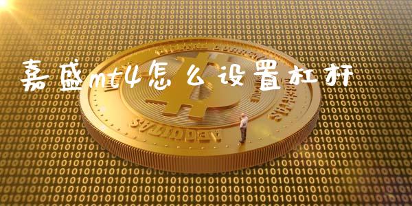 嘉盛mt4怎么设置杠杆_https://m.jnlaobingbanjia.com_全球市场_第1张