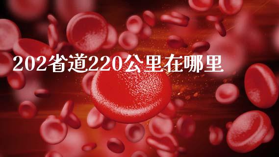 202省道220公里在哪里_https://m.jnlaobingbanjia.com_基金市场_第1张