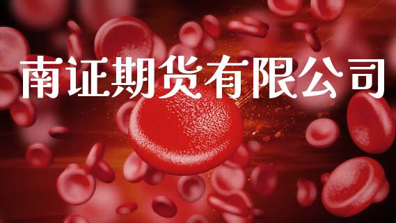 南证期货有限公司_https://m.jnlaobingbanjia.com_金融监管_第1张
