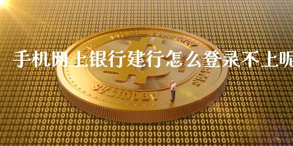 手机网上银行建行怎么登录不上呢_https://m.jnlaobingbanjia.com_金融监管_第1张