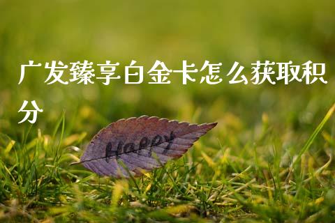 广发臻享白金卡怎么获取积分_https://m.jnlaobingbanjia.com_金融监管_第1张