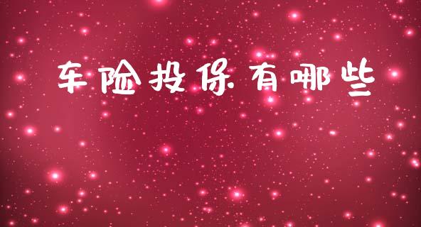 车险投保有哪些_https://m.jnlaobingbanjia.com_理财规划_第1张