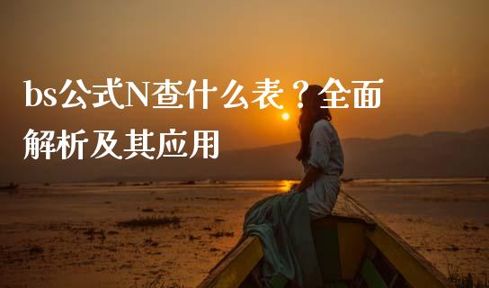 bs公式N查什么表？全面解析及其应用_https://m.jnlaobingbanjia.com_区块链_第1张