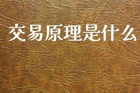 交易原理是什么_https://m.jnlaobingbanjia.com_金融监管_第1张