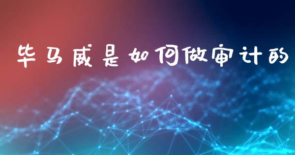 毕马威是如何做审计的_https://m.jnlaobingbanjia.com_基金市场_第1张