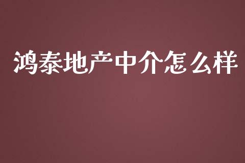 鸿泰地产中介怎么样_https://m.jnlaobingbanjia.com_金融监管_第1张
