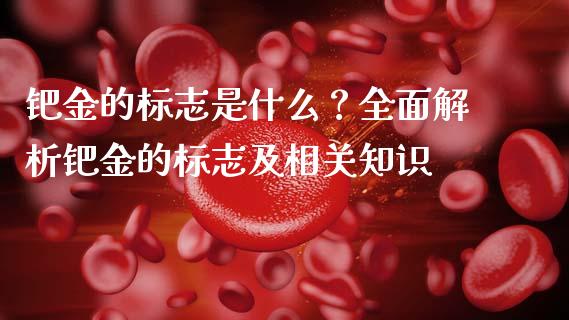 钯金的标志是什么？全面解析钯金的标志及相关知识_https://m.jnlaobingbanjia.com_区块链_第1张