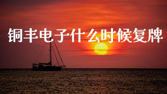 铜丰电子什么时候复牌_https://m.jnlaobingbanjia.com_区块链_第1张