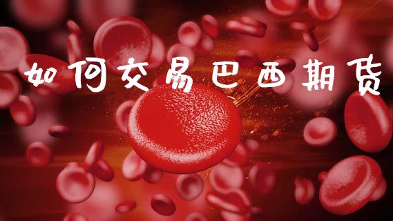 如何交易巴西期货_https://m.jnlaobingbanjia.com_股市新闻_第1张