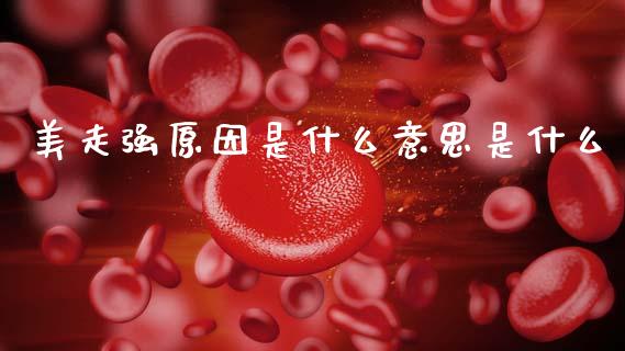 美走强原因是什么意思是什么_https://m.jnlaobingbanjia.com_全球市场_第1张
