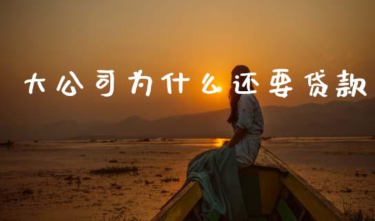 大公司为什么还要贷款_https://m.jnlaobingbanjia.com_股市新闻_第1张