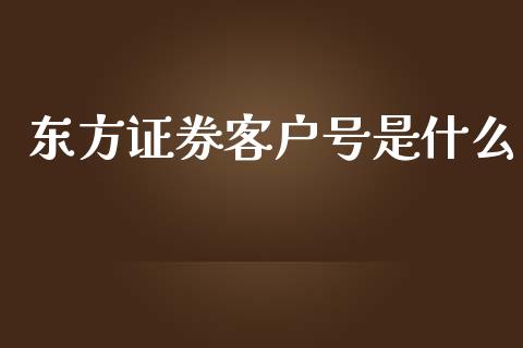 东方证券客户号是什么_https://m.jnlaobingbanjia.com_全球市场_第1张