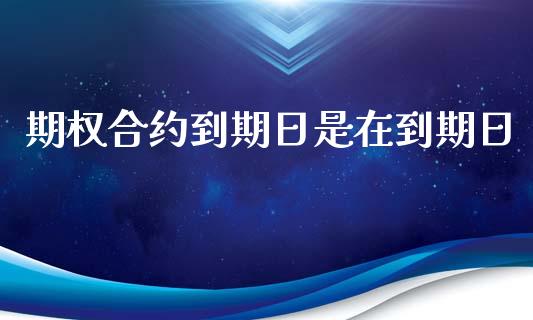 期权合约到期日是在到期日_https://m.jnlaobingbanjia.com_理财规划_第1张