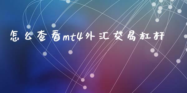 怎么查看mt4外汇交易杠杆_https://m.jnlaobingbanjia.com_基金市场_第1张
