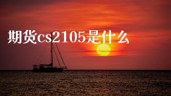 期货cs2105是什么_https://m.jnlaobingbanjia.com_金融监管_第1张