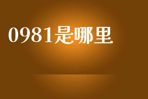 0981是哪里_https://m.jnlaobingbanjia.com_金融监管_第1张
