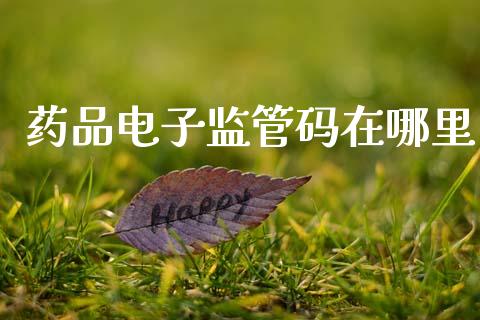 药品电子监管码在哪里_https://m.jnlaobingbanjia.com_全球市场_第1张