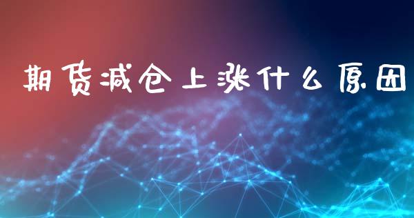 期货减仓上涨什么原因_https://m.jnlaobingbanjia.com_理财规划_第1张