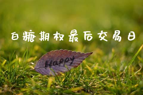 白糖期权最后交易日_https://m.jnlaobingbanjia.com_金融监管_第1张