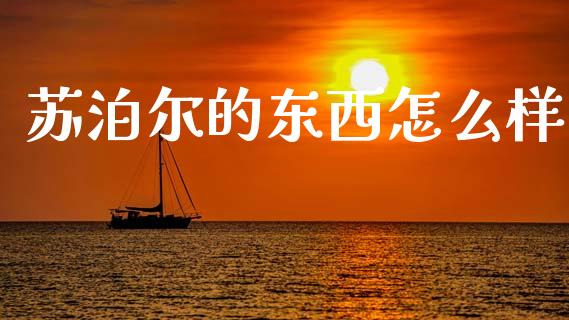 苏泊尔的东西怎么样_https://m.jnlaobingbanjia.com_全球市场_第1张