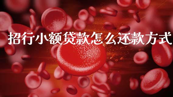 招行小额贷款怎么还款方式_https://m.jnlaobingbanjia.com_区块链_第1张