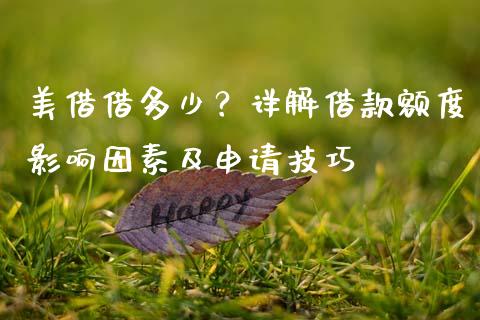 美借借多少？详解借款额度影响因素及申请技巧_https://m.jnlaobingbanjia.com_股市新闻_第1张
