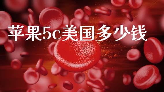 苹果5c美国多少钱_https://m.jnlaobingbanjia.com_金融监管_第1张
