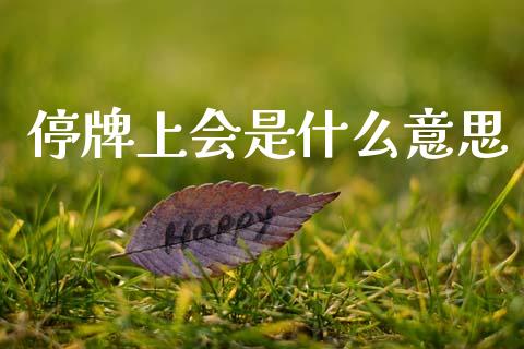 停牌上会是什么意思_https://m.jnlaobingbanjia.com_基金市场_第1张