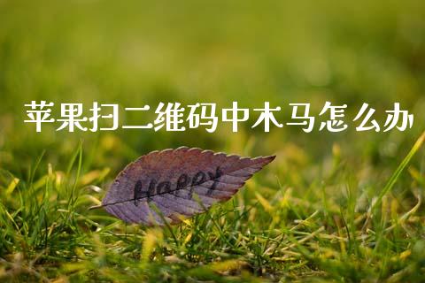 苹果扫二维码中木马怎么办_https://m.jnlaobingbanjia.com_金融监管_第1张