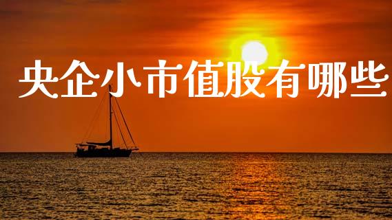 央企小市值股有哪些_https://m.jnlaobingbanjia.com_股市新闻_第1张