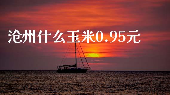 沧州什么玉米0.95元_https://m.jnlaobingbanjia.com_区块链_第1张