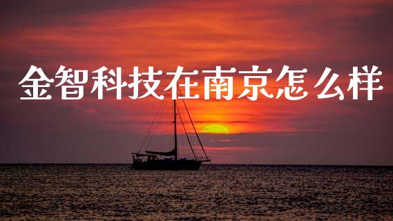 金智科技在南京怎么样_https://m.jnlaobingbanjia.com_金融监管_第1张