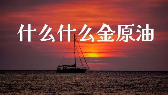 什么什么金原油_https://m.jnlaobingbanjia.com_理财规划_第1张