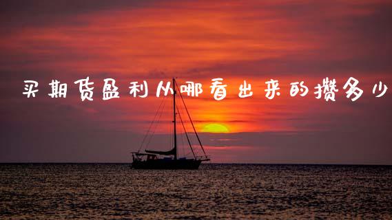 买期货盈利从哪看出来的攒多少_https://m.jnlaobingbanjia.com_区块链_第1张
